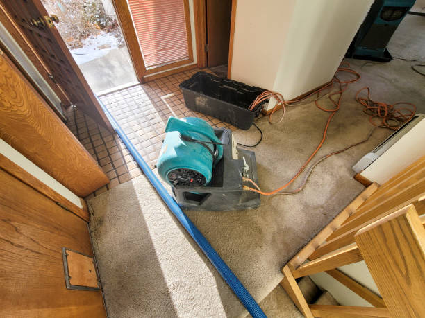 Best Professional water damage repair  in South Glens Falls, NY